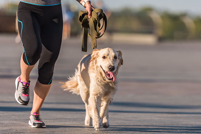 Una persona caminando con un perro  Descripción generada automáticamente