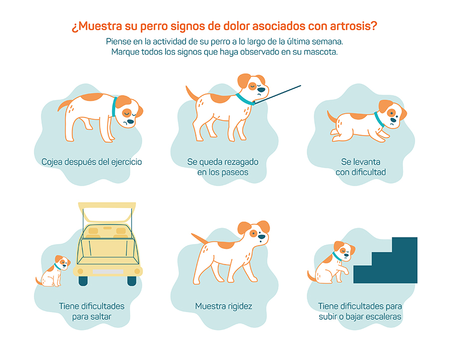 Diagrama  Descripción generada automáticamente con confianza baja