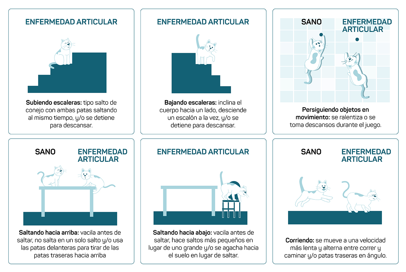 Imagen que contiene Texto  Descripción generada automáticamente