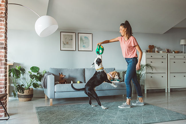 Una mujer con un perro en un cuarto  Descripción generada automáticamente con confianza baja